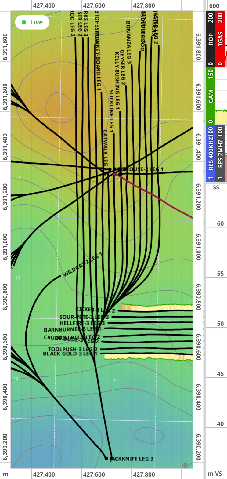 Share View owner side: structural map with labelled well trajectories beside the cross-section — ROP, gamma and resistivity tracks over horizons and the drilled well